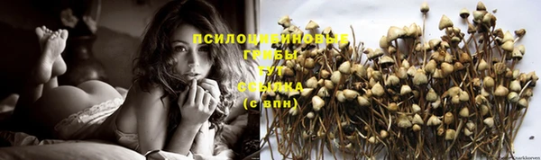 jwh Абинск