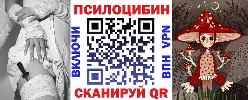 купить   Шиханы  Псилоцибиновые грибы Magic Shrooms 